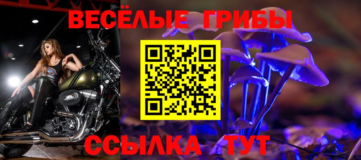 дарнет шоп  Вход с VPN  Югорск  Галлюциногенные грибы ЛСД 